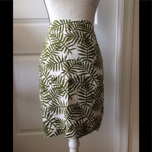 Ann Taylor beautiful skirt with lining